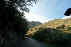 SAM_0215