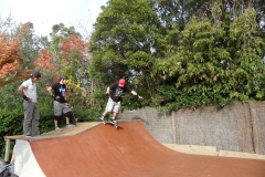 SAM_0225