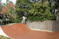 SAM_0229