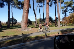 SAM_0230