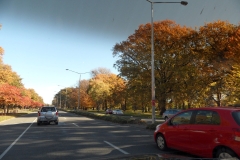 SAM_0231