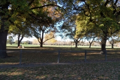 SAM_0239