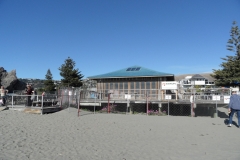 SAM_0255
