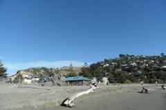 SAM_0259
