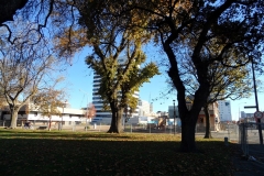 SAM_0277