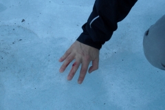 SAM_0446