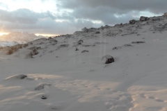 SAM_0561