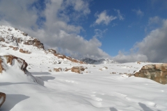 SAM_0584