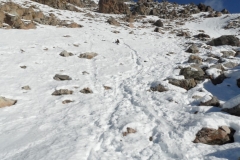 SAM_0613