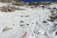SAM_0617
