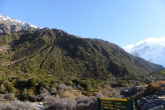 SAM_0636