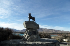SAM_0511