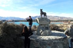 SAM_0512
