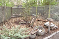 SAM_0651