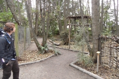 SAM_0653