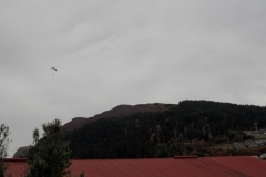 SAM_0655