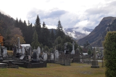 SAM_0704