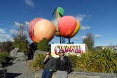 SAM_0774