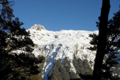 SAM_0836