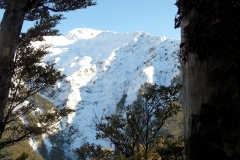 SAM_0837
