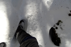 SAM_0840
