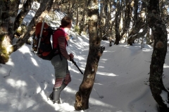 SAM_0841