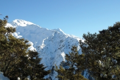 SAM_0842