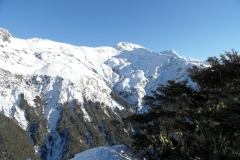SAM_0847