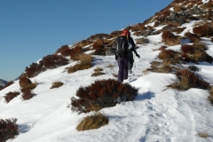 SAM_0855