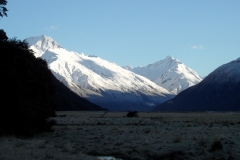 SAM_0973