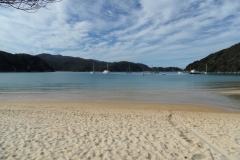 SAM_1117
