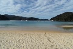SAM_1120