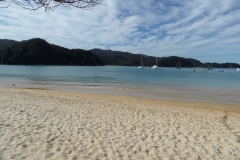 SAM_1121