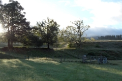 SAM_1146