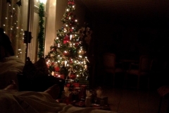 0008 Christmas IMG_6013