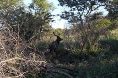 SAM_1507