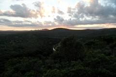 SAM_1562