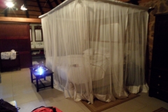 SAM_1646