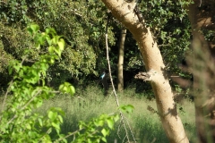SAM_1665