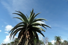 SAM_1672