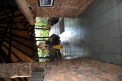 SAM_1675