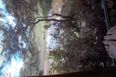 SAM_1687