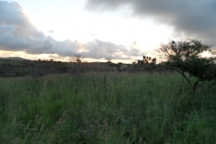SAM_1722