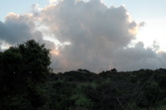 SAM_1723