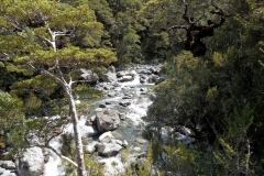 SAM_1733