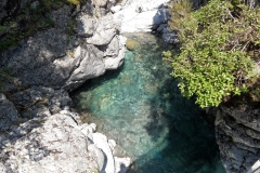 SAM_1735