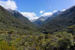 20141222-04823 20141222-04823