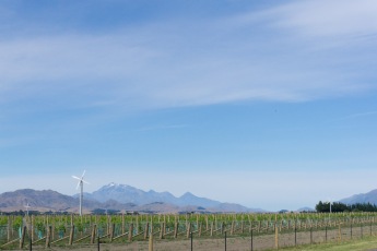 20150101-05279 20150101-05279