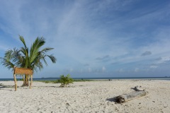 20150222-05550 20150222-05550