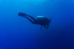 DSC06302